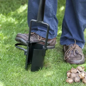 import placeholder for 11201555