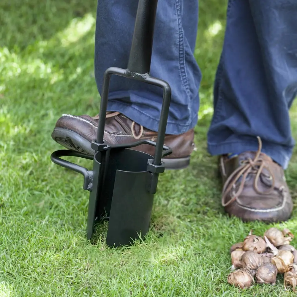 import placeholder for 11201555 import placeholder for 11201555